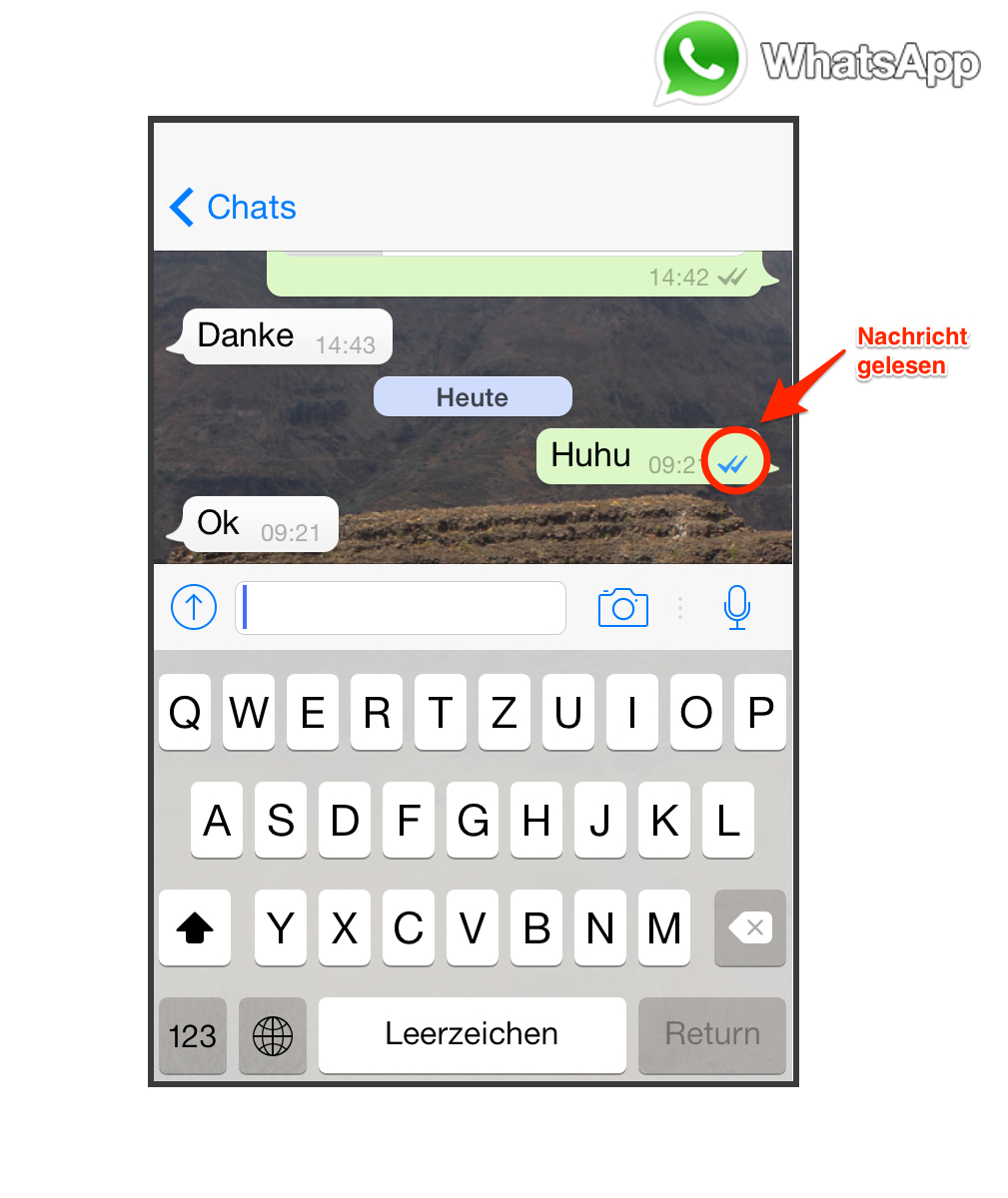 Whatsapp Gelesen? Neue Blaue Haken Verraten Es | Frisch Gebloggt